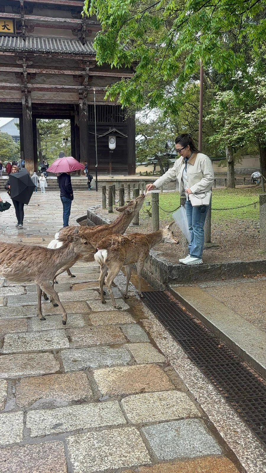 Foto grup wisatawan bahagia di depan landmark terkenal dalam paket wisata Nayowa