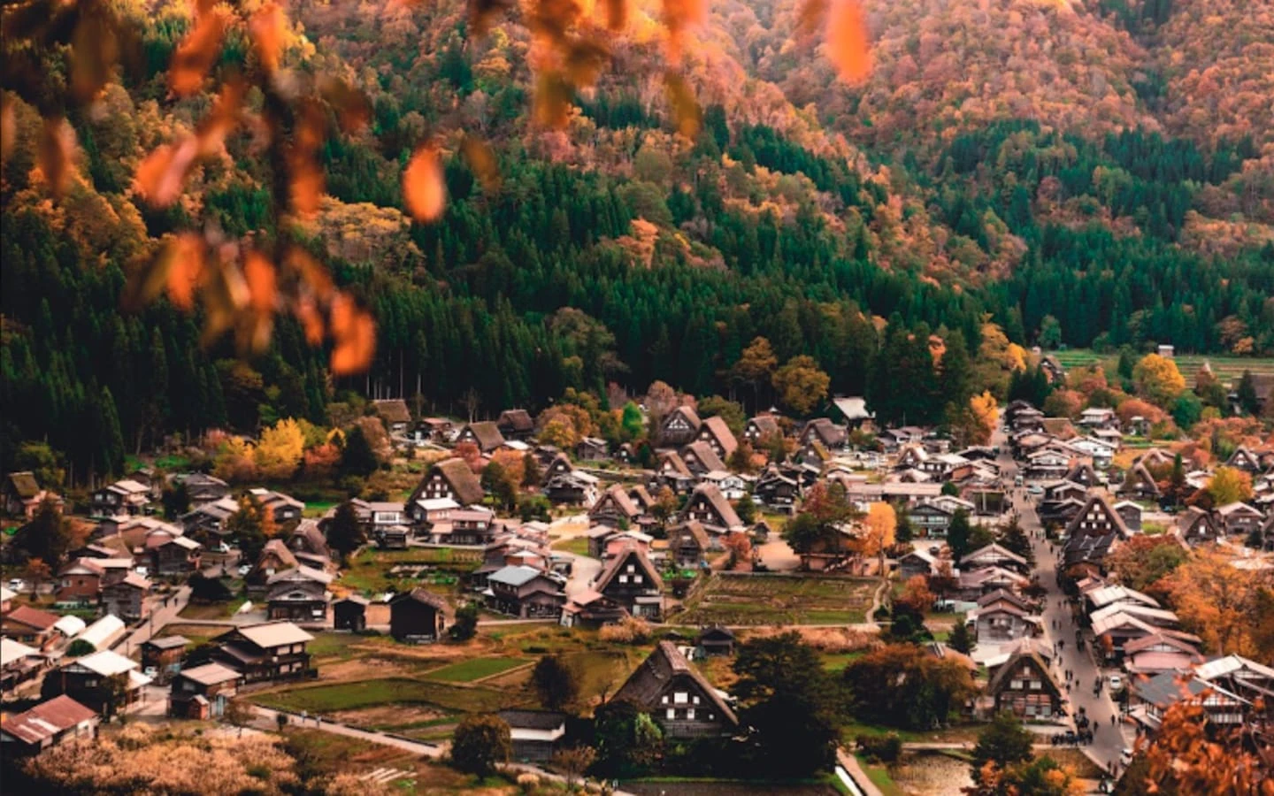 Desa tradisional Shirakawa-go warisan UNESCO dengan rumah atap jerami Gassho-zukuri